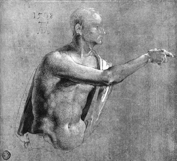 Albrecht Durer Male Nude